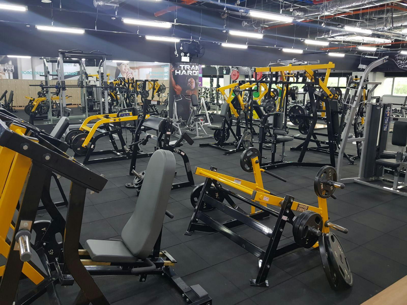 8 Cheapest Gym In Singapore: Anytime Fitness, Virgin And More (2024)