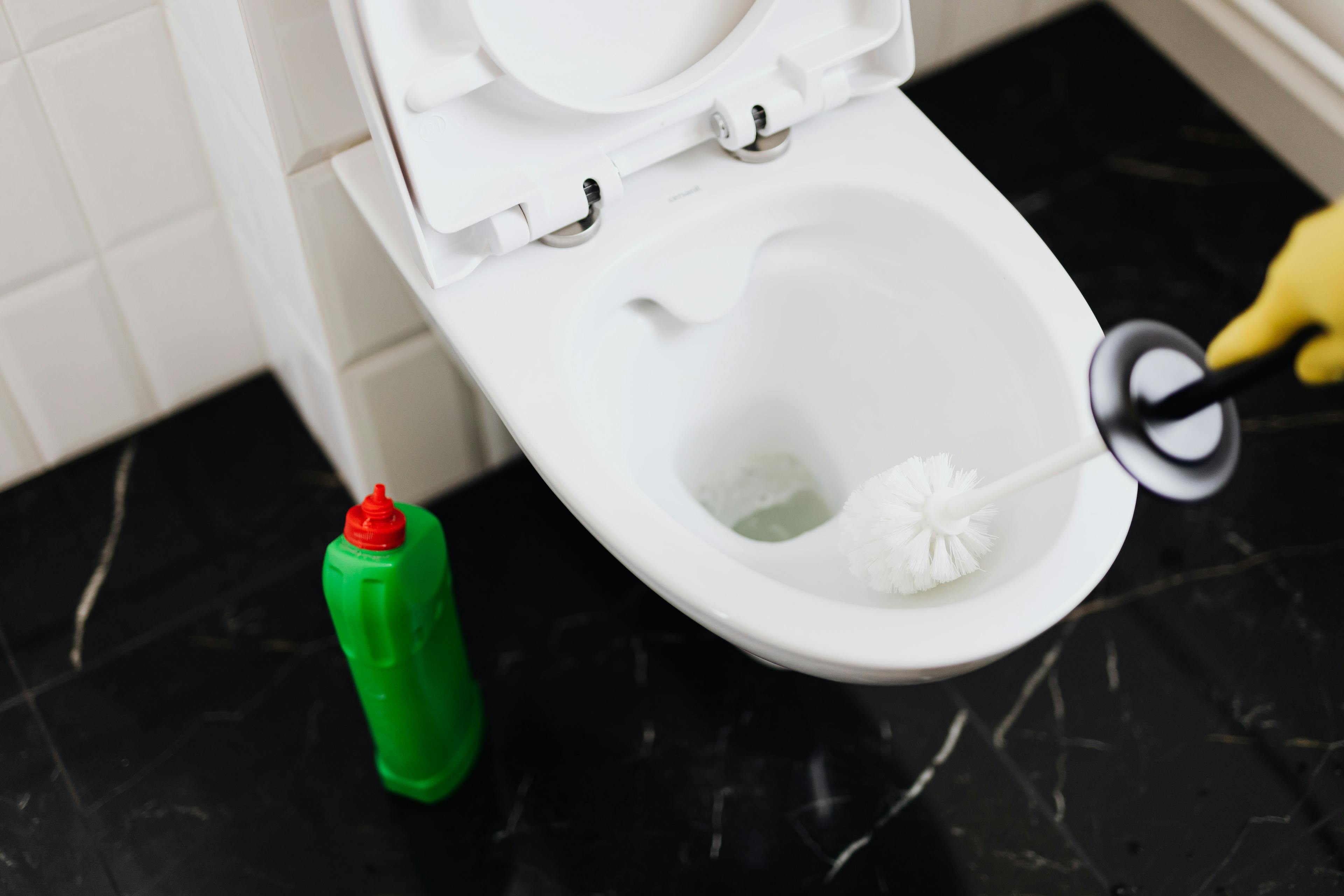 Helper cleaning toilet - StringsSG